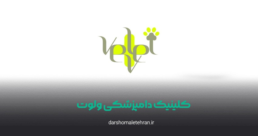 کلینیک دامپزشکی ولوت